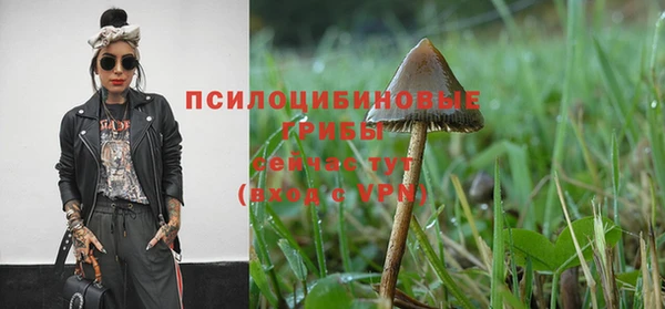 кокаин перу Алзамай