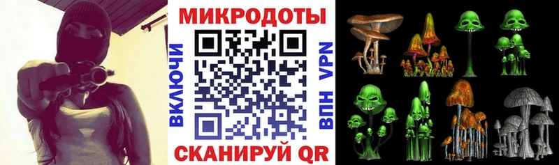 как найти наркотики  Гдов  Галлюциногенные грибы прущие грибы 